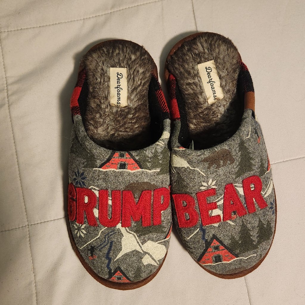 Grumpy Bear Slippers